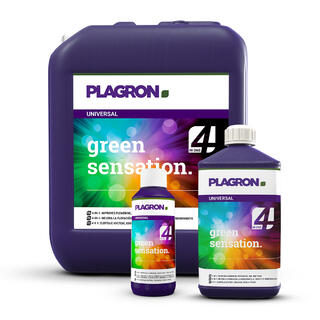Plagron green sensation 