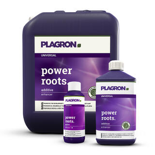 Plagron power roots