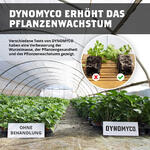 Wirkung - Dynomyco Mykorrhiza - 0.1 kg