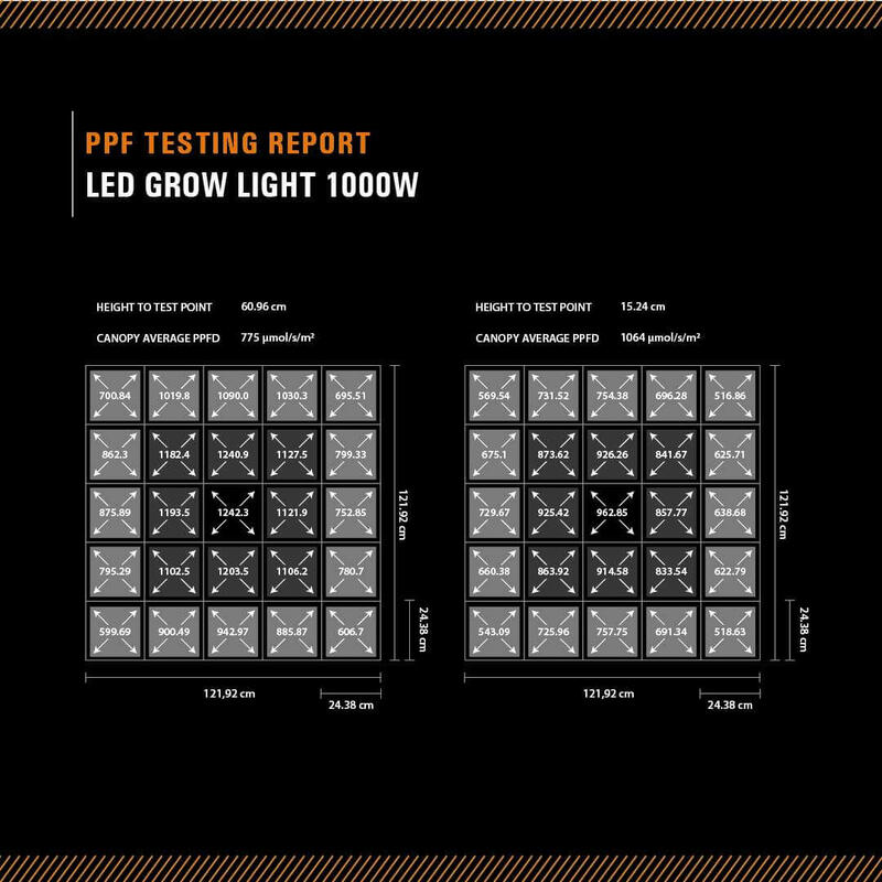 Lumen King LED-1000 W-Lichtverteilung