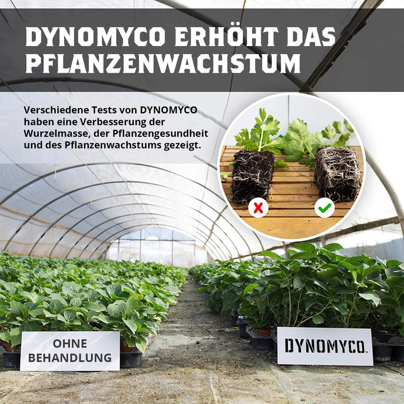 Dynomyco Mykorrhiza-0.1 kg-Wirkung