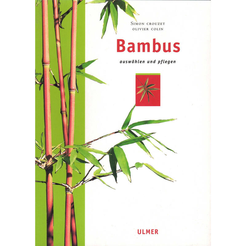 B-Bambus
