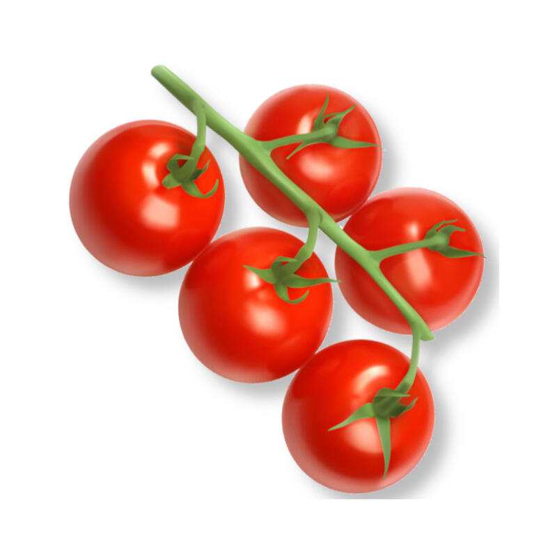 Tomaten-Black Cherry