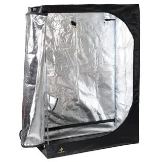 Secret Jardin Dark Street