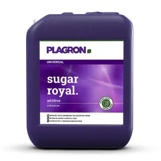 5 l