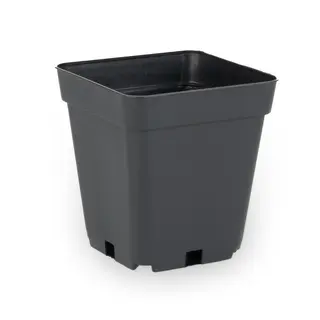 Teku 10 x 10 x 11 cm